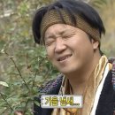 플라시드