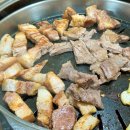 먹보고기 이미지