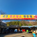 세연한우암소