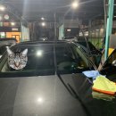 원동셀프세차장 이미지