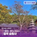 송림사 명부전 석조삼장보살좌상 | 가을빛이 물드는 팔공산, 칠곡 송림사