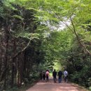 에코힐링 이미지