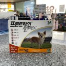 남원동물약국 이미지