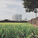 멀왓스테이 이미지