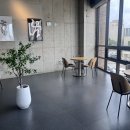 하스커피 이미지