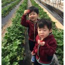 무내미농장 이미지