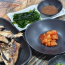 찬미회물회