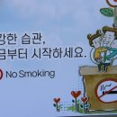 전자담배멀티매장 네이버블로그