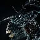 사이드쇼 이미지