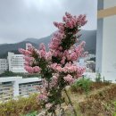 가야벽산상가 이미지