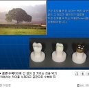 치아세상치과 네이버블로그