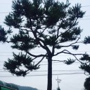 먼동1펜션 이미지