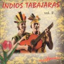 포크기타 (연주) 이미지