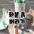 수투맘