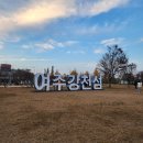 예산초 단풍나무길 | 단풍 명소 &#39;여주강천섬 단풍나무길&#39; 다녀온 후기와 주차 팁(24.11.9 기준)
