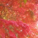 두류네거리 이미지