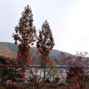가창중학교 Daum카페
