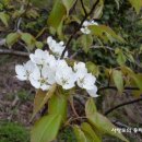 이대감사랑채 이미지