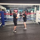 고잔복싱 이미지