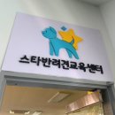 스타 반려견 교육센터 이미지