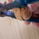 호두까기 이미지