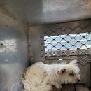 오수의과동물병원 이미지