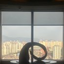 콘티넨탈호텔 | 🌹서울의 로맨틱 미식 경험, 신라호텔 ‘콘티넨탈’ 디너 후기🌃