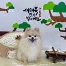 푸드르르 이미지