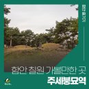 주세붕묘역 이미지