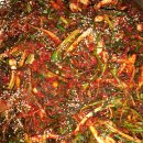 청춘고추 이미지