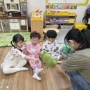 뮤직컴스토리 -욕심쟁이 악어와 생쥐(악어카바사) 이미지