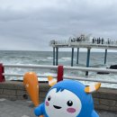 동해시-48 | 동해시 가볼만한 곳 도째비골 스카이밸리 해랑전망대 강원도 여행 후기