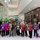 양재종합사회복지관 이미지