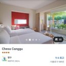 탑투모텔 | [2025년 1월/발리 짱구] 짱구숙소, Chesa Canggu, 센소리움, 핀스, ZIN cafe, 레기안 서핑, 포테이토...