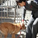 국립서울맹학교 이미지