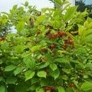 현하우스 이미지