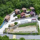 숲속의 둥지 이미지