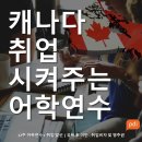 [어학+취업] 캐나다 취업 이민 지금이 적기입니다. 저희가 안전하고 빠르게 도와 드립니다! 이미지