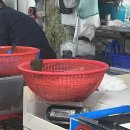삼천포 용궁수산시장 내돈내산 후기