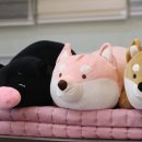 대승침구