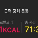 단풍나무짐 이미지