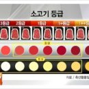 대광축산 이미지