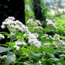 천문대입구 이미지