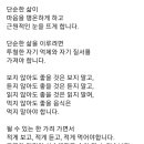 산에는 꽃이 피네 이미지