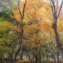 제주단식원
