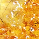 에코타운 이미지