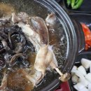 청산오리 이미지