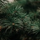 진성한의원 이미지