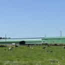 태경목장 이미지