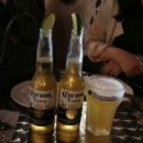 폭스펍 네이버블로그